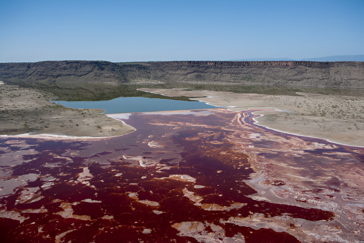 Why is Lake Natron Red and So Deadly! – Human Deaths 2025